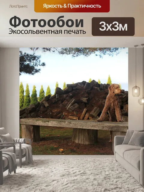 Фотообои Собака
