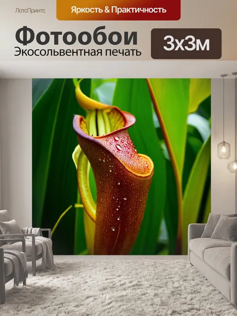 Фотообои крупным планом непентес с его удивительными формами и текстурами