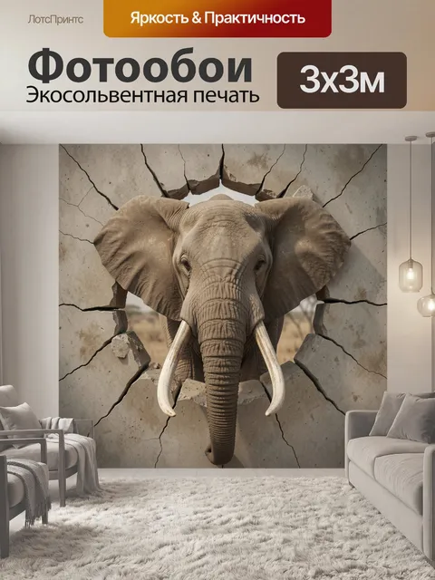 300 × 300 см · Экосольвентная печать
