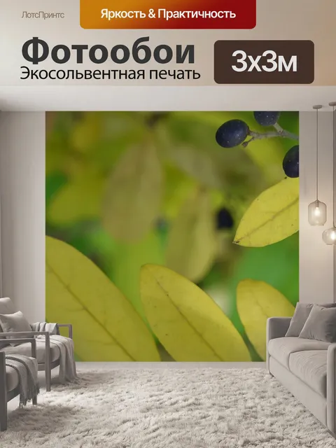 Фотообои Лесные ягоды