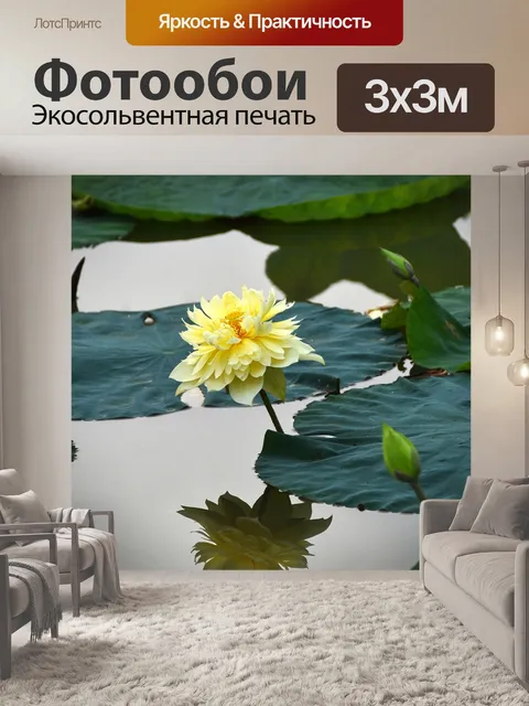 Фотообои Цветок лотоса