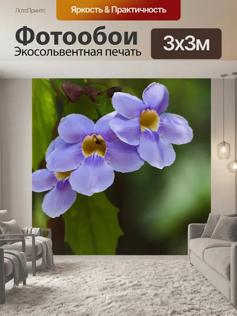 Фотообои Цветы