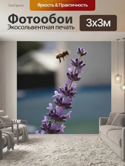 Фотообои Лаванды