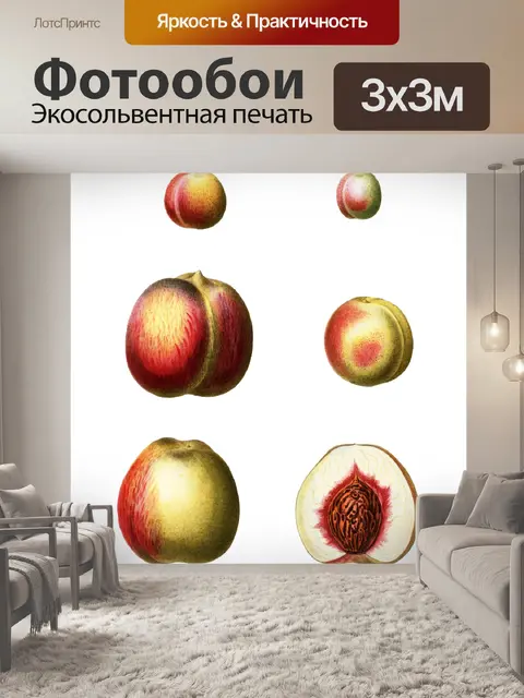 Фотообои Фрукты персики старинные клипарт