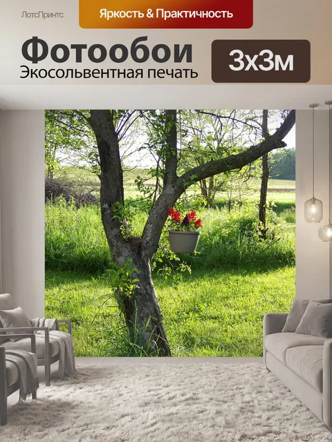 Фотообои Подвесные корзины на закате