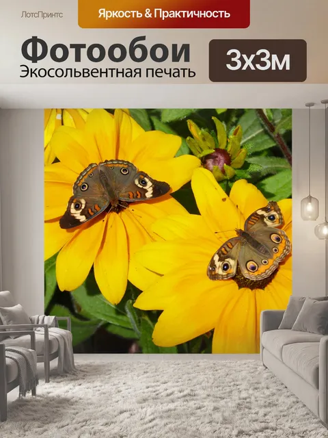 Фотообои Бабочки на желтый цветок