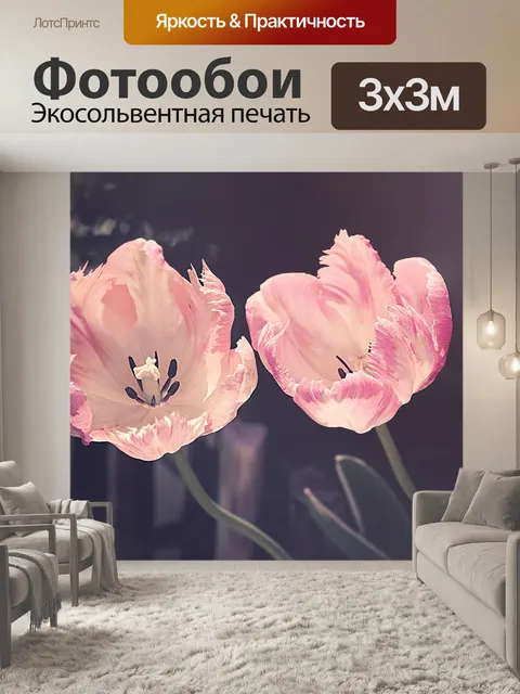 Фотообои Тюльпаны