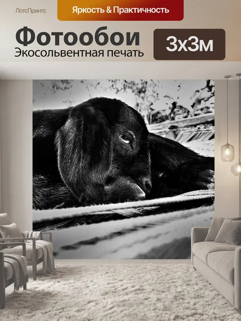 Фотообои Природа