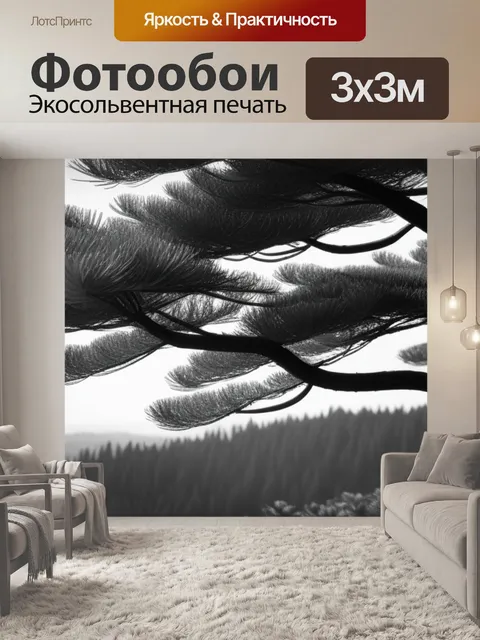 Фотообои пейзаж с сосна чернобелый