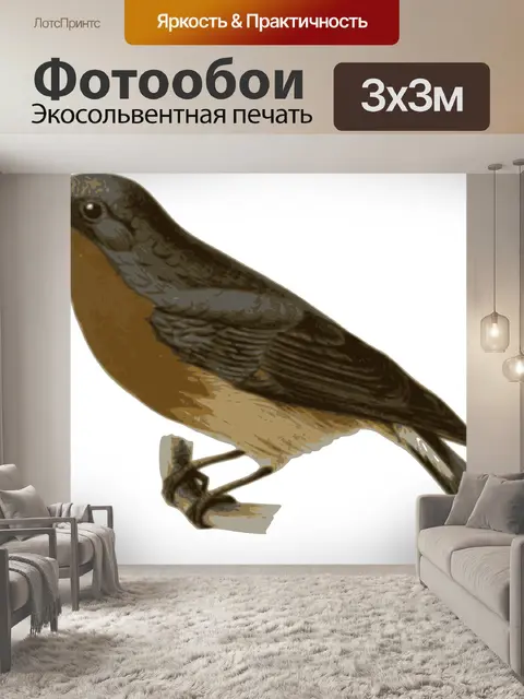 Фотообои Птица