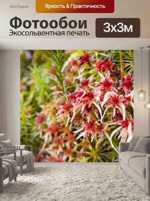 Фотообои Мох
