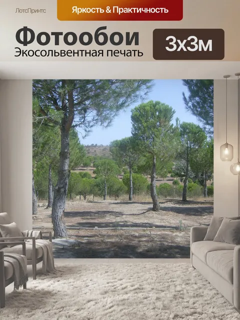 Фотообои Деревья