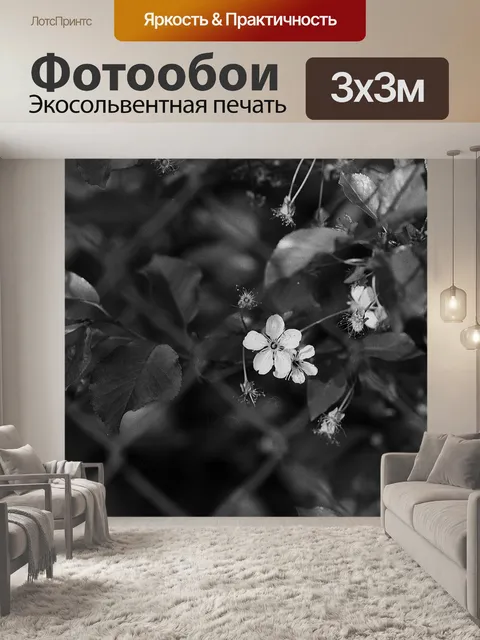 Фотообои Цветок