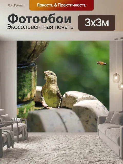 Фотообои Птица