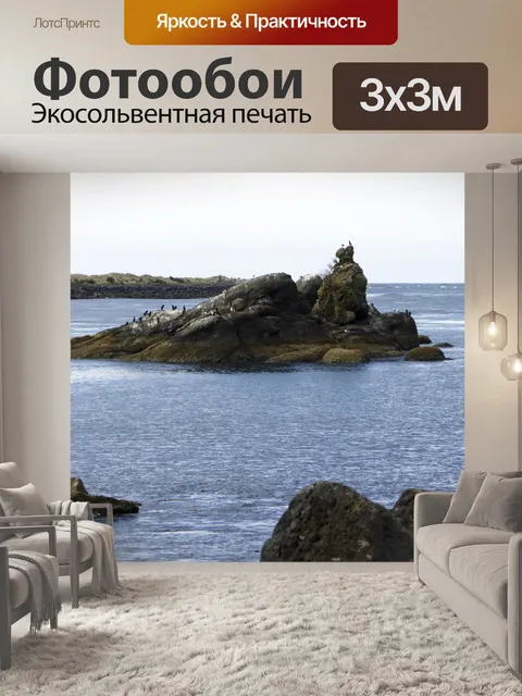 Фотообои Птицы на скале в бухте