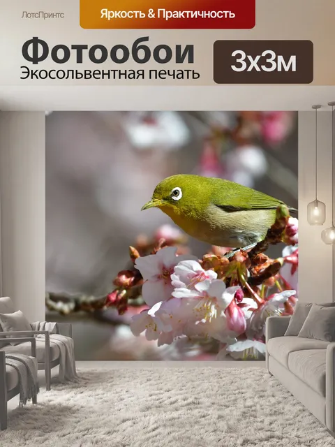 Фотообои Цветы