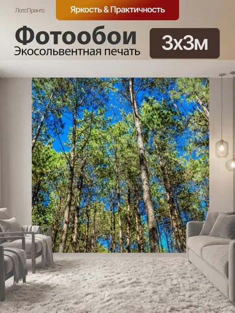 Фотообои Сосновый лес, Пан Унг, Мэй Хонг Сон