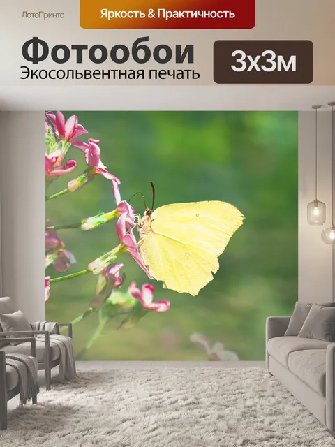 Фотообои Сера бабочка