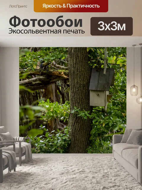Фотообои Птичий дом