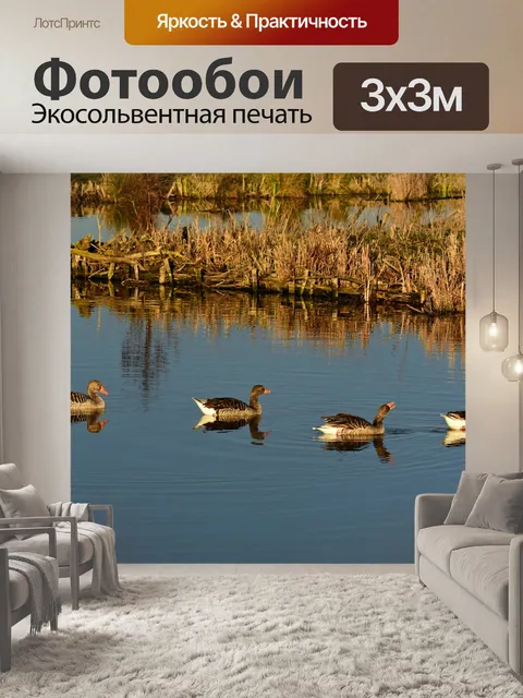 Фотообои Гусь