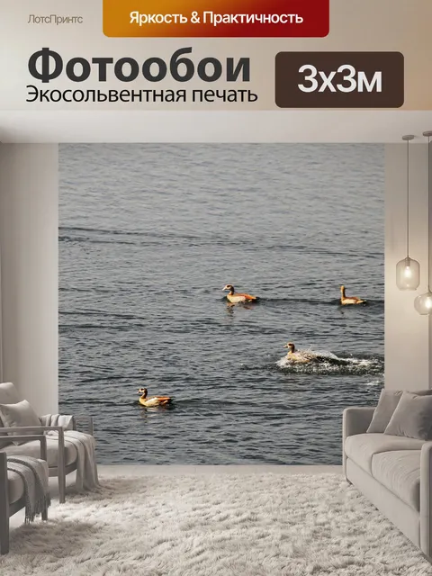 Фотообои Египетские гуси на воде