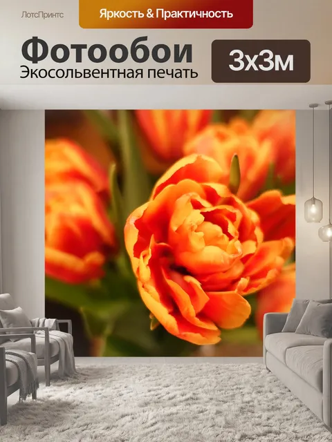 Фотообои Тюльпан