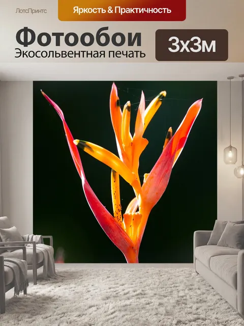 Фотообои Райская птица цветок