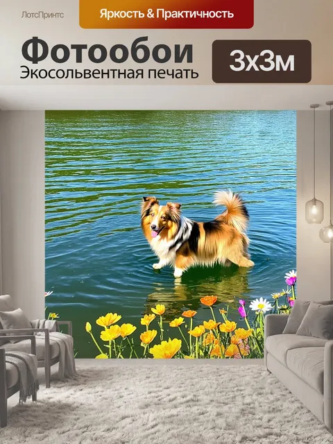 Фотообои летний день на берегу озера, где шелти заходит в воду, играя с плавающей игрушкой