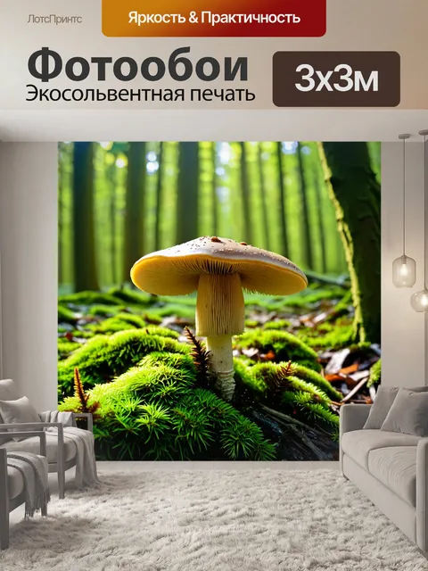 Фотообои грибы грибное место в густом лесу