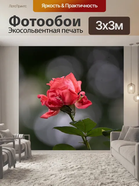 Фотообои Май