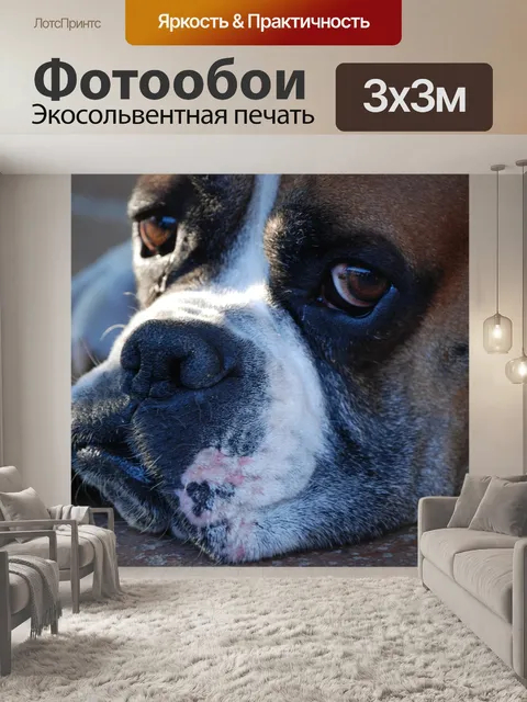 Фотообои Животные