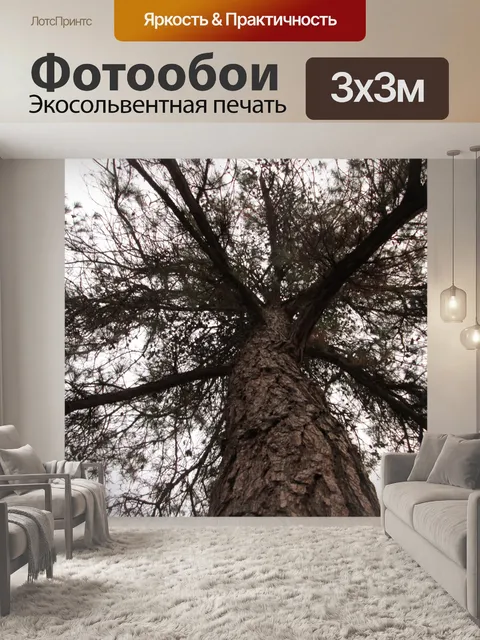 Фотообои Дерево Перспектива 39