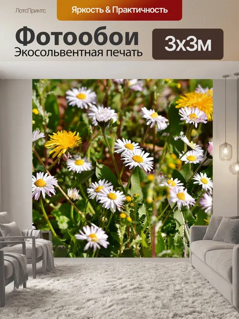Фотообои Ромашки