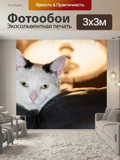 Фотообои Кошка