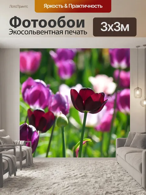 Фотообои Тюльпаны