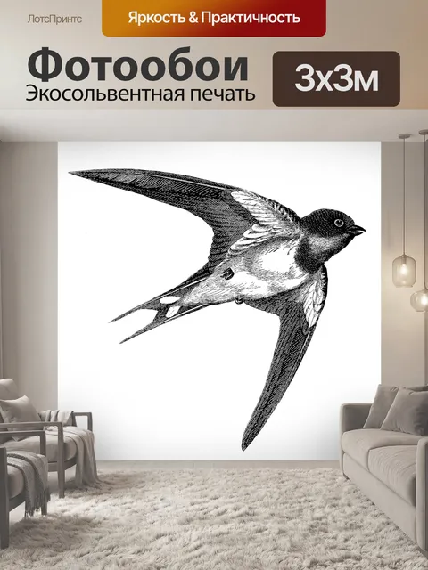 Фотообои Ласточка в полете