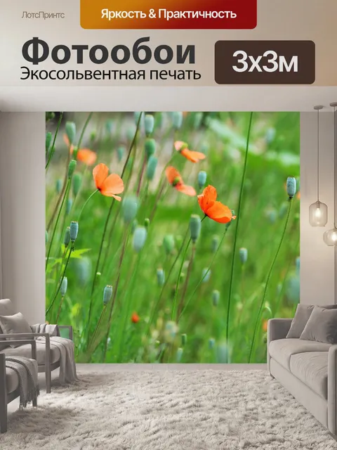 Фотообои Цветы мака
