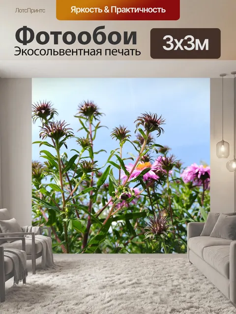 Фотообои Цветы