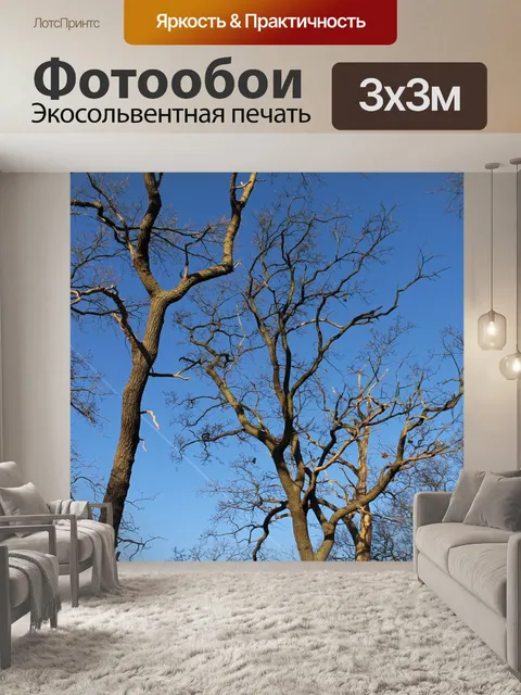 Фотообои Дерево
