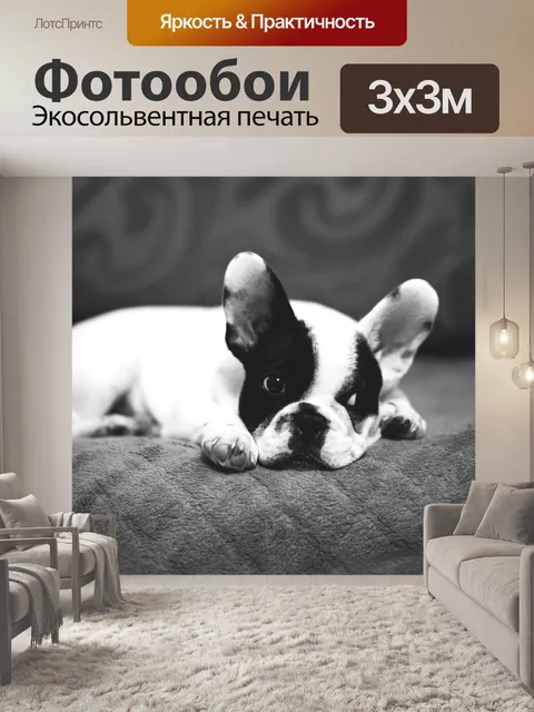 Фотообои Животные
