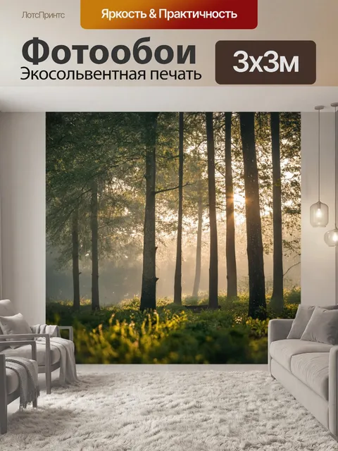 Фотообои сцена с утренним солнцем, пробивающимся сквозь густые деревья; легкий туман обвивает стволы