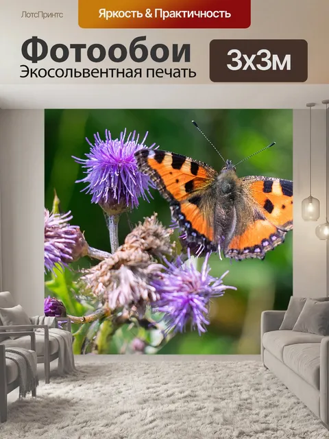 Фотообои Бабочка