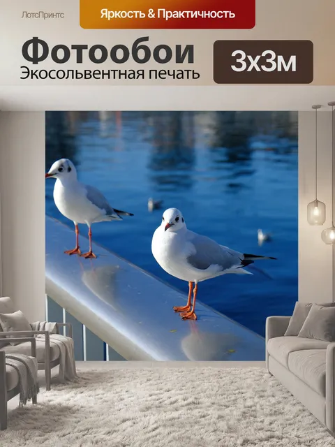 Фотообои Чаек