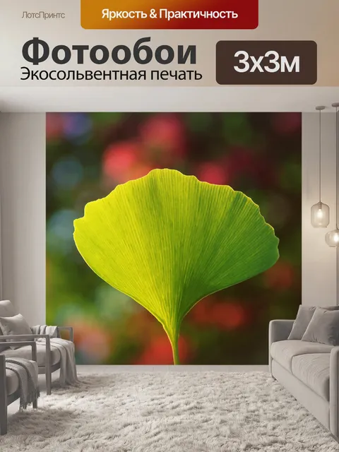 Фотообои Гинко