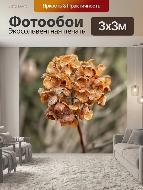 Фотообои Джунгли