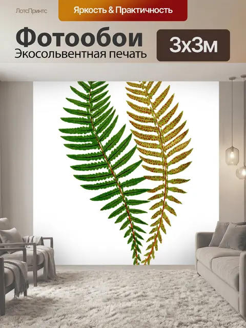 Фотообои Винтажное искусство листьев папоротника