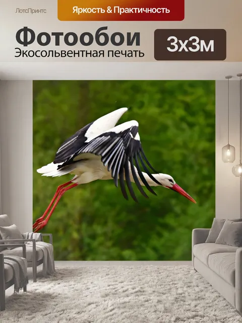 Фотообои Аист
