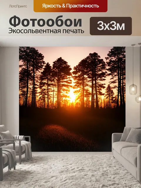фотообои лес в стиле минимализм с силуэтами деревьев на фоне заката