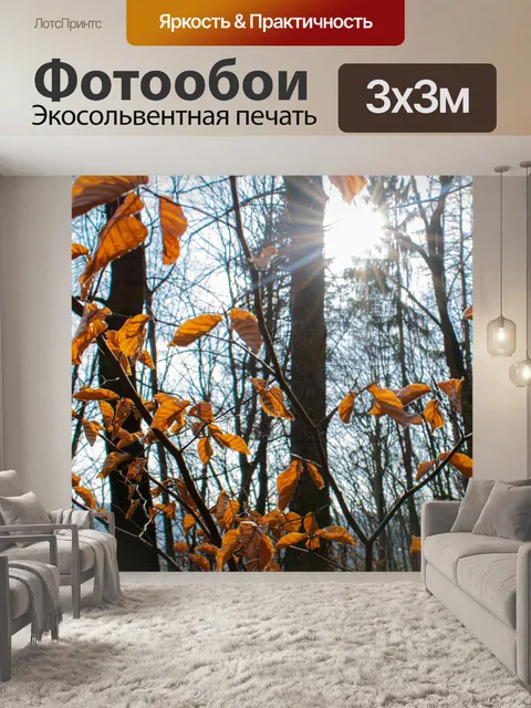 Фотообои Осенние листья