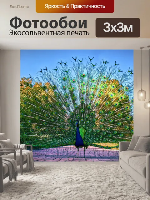 Фотообои Павлин